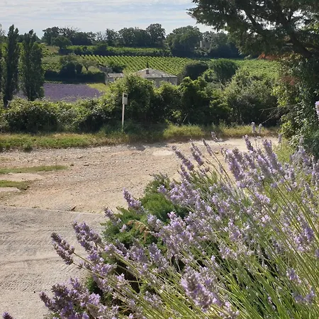 Le Clos du Grand Chêne Saint-Marcel-d'Ardeche Extérieur photo
