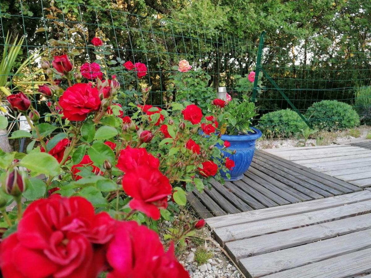 Le Clos Du Grand Chene - 4 Etoiles - Saint-Marcel-d'Ardeche