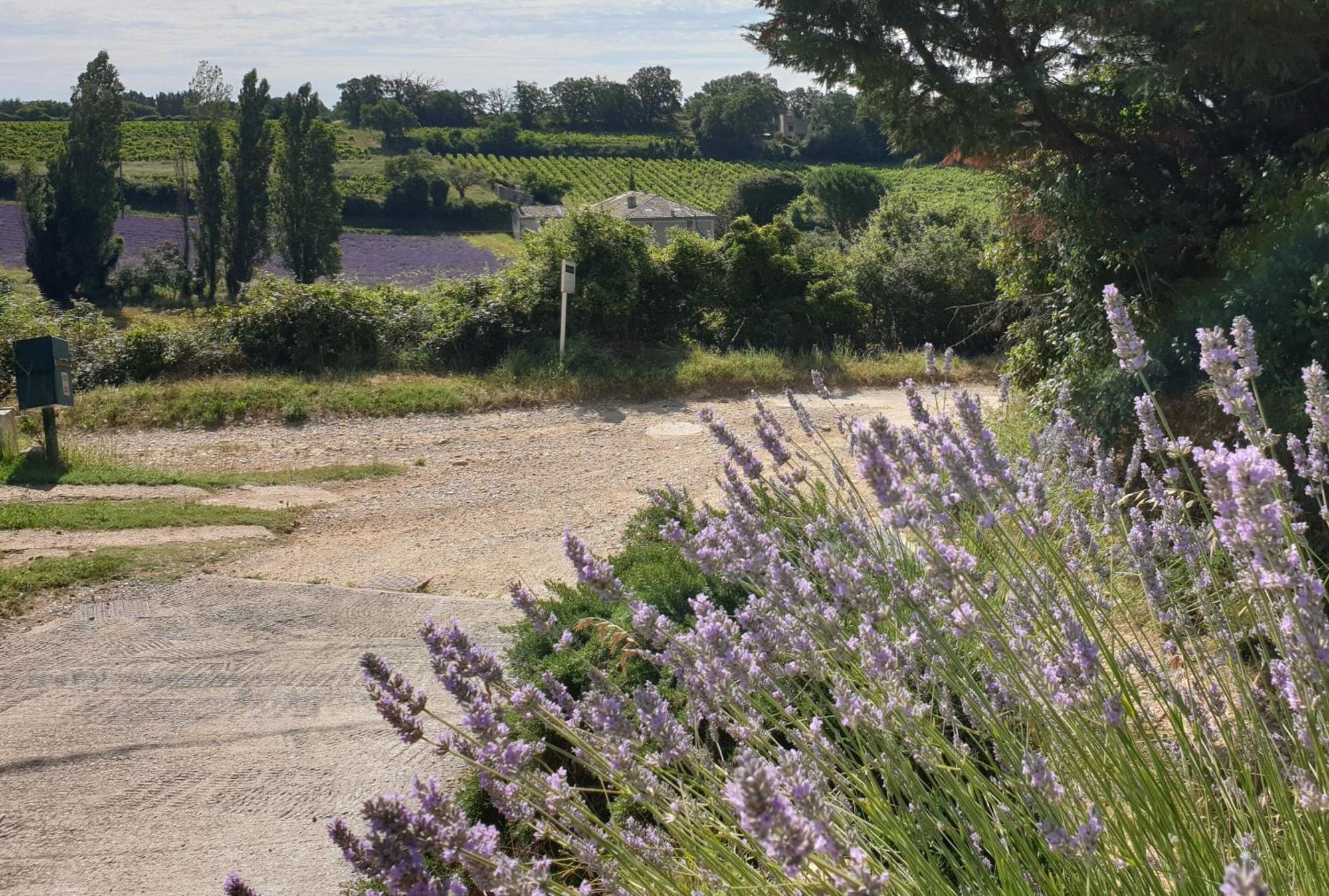 Le Clos Du Grand Chene - 4 Etoiles - Holiday home *